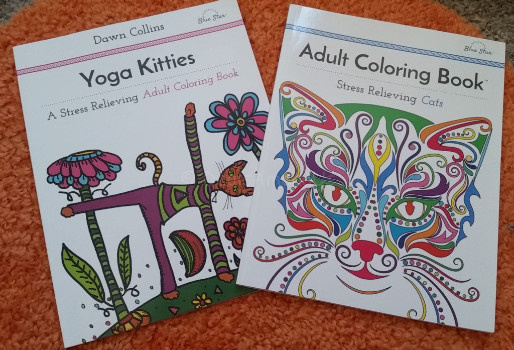 Pair of Cat Coloring Books