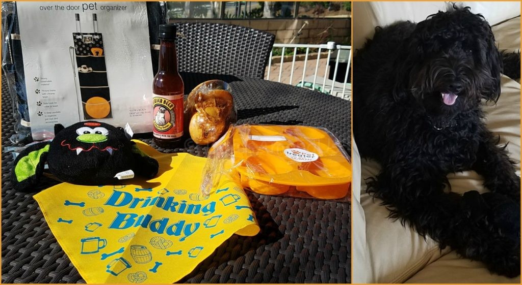 barktober-fest-october-2016