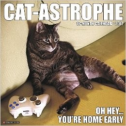 cat-astrophe