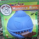 Monster Ball Treat Toy