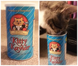kitty kaviar