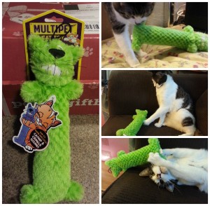 pet gift box cat toy