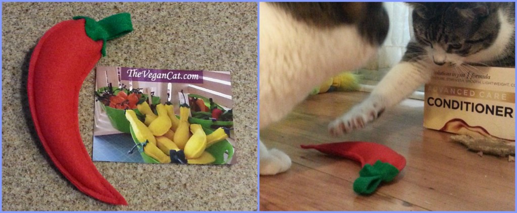 Chili Pepper KitNip Box May