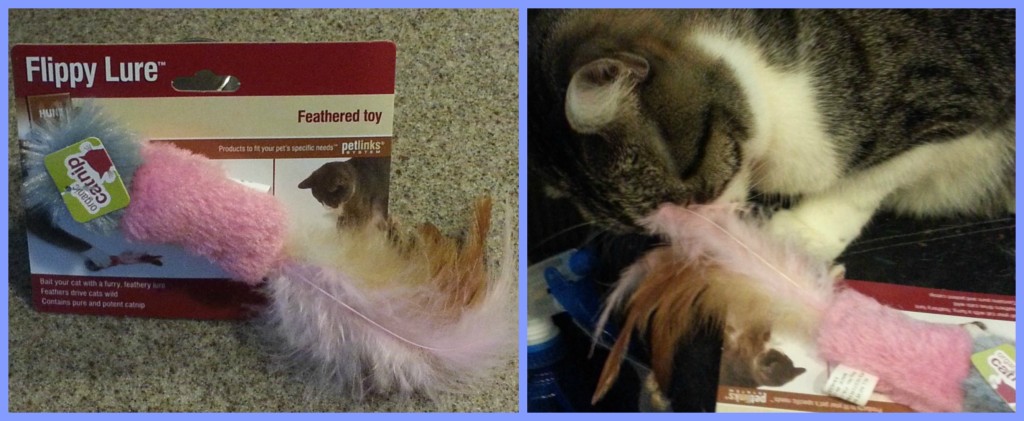 Flippy Lure KitNipBox May