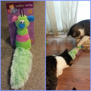 Pet Crinkle Toy KitNipBox May