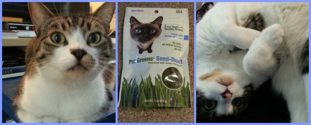 Pet Greens KitNipBox May
