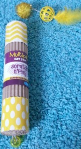 PetGiftBox - Jurassic June Box