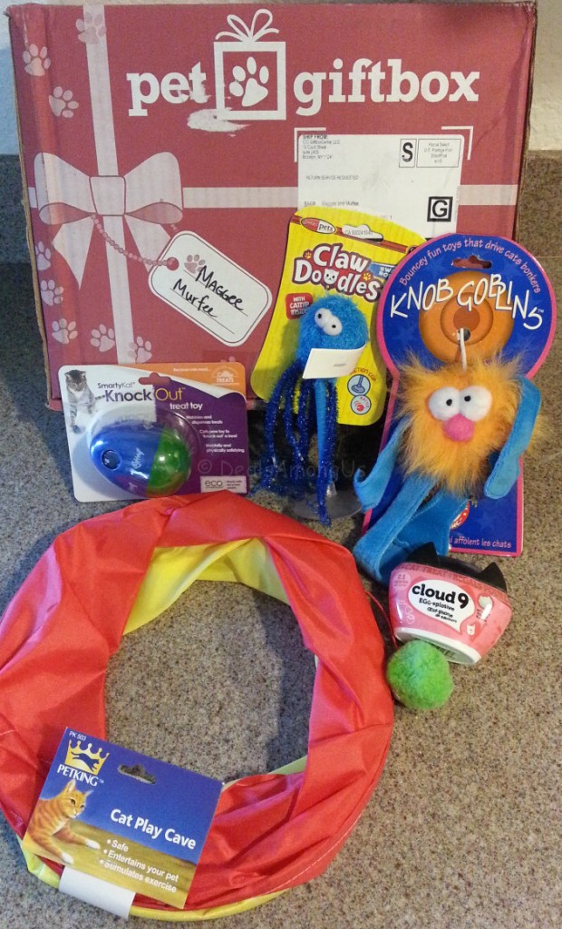 Pet Gift Box July 2015