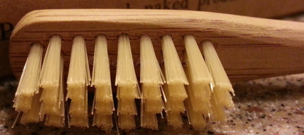 Brush Naked Bamboo Toothbrush Company