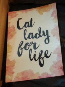 Cat Lady Box July 2015