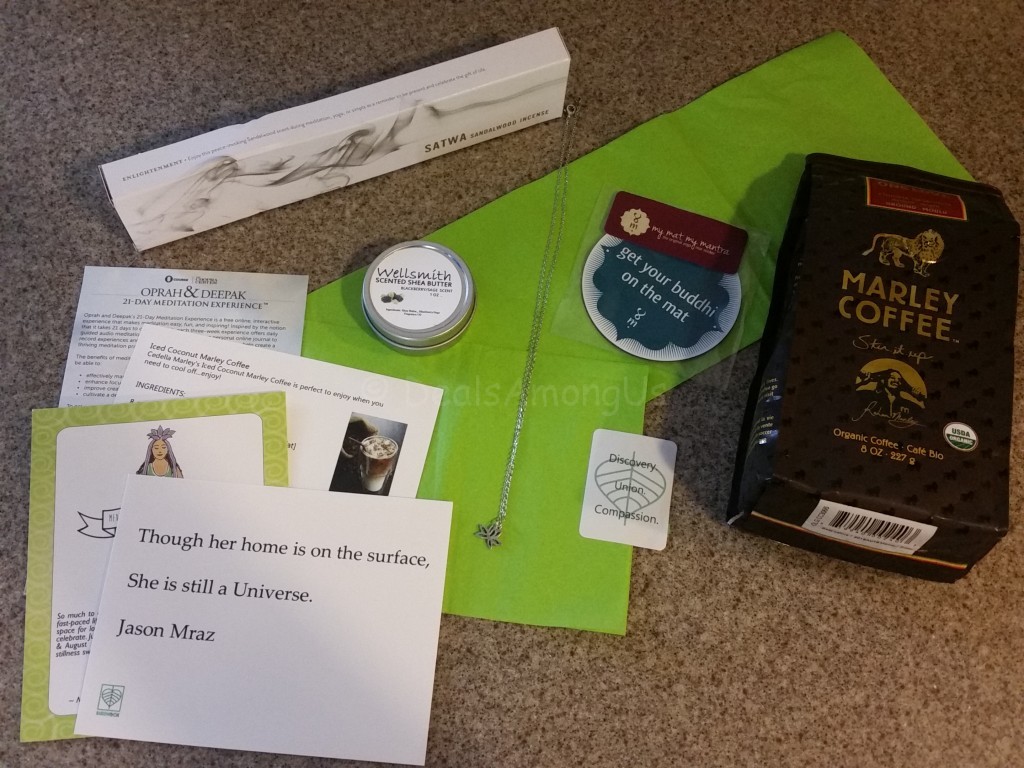 BuddhiBox August 2015