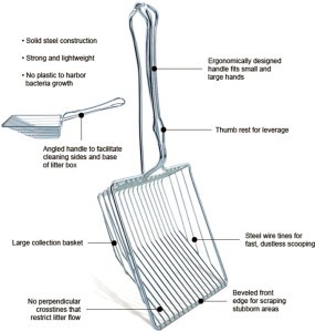 Designs for Its THE Scoop