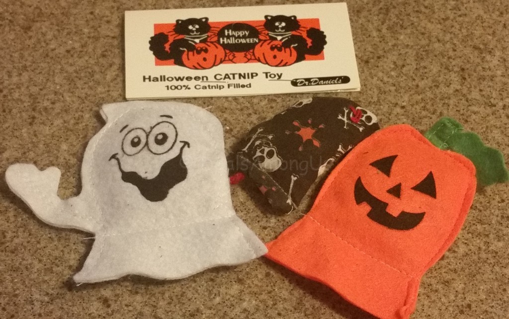 Catnip Toys - Pet Gift Box October 2015