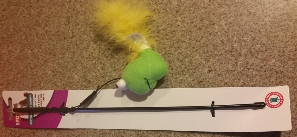 Dangle Toy - Pet Gift Box October