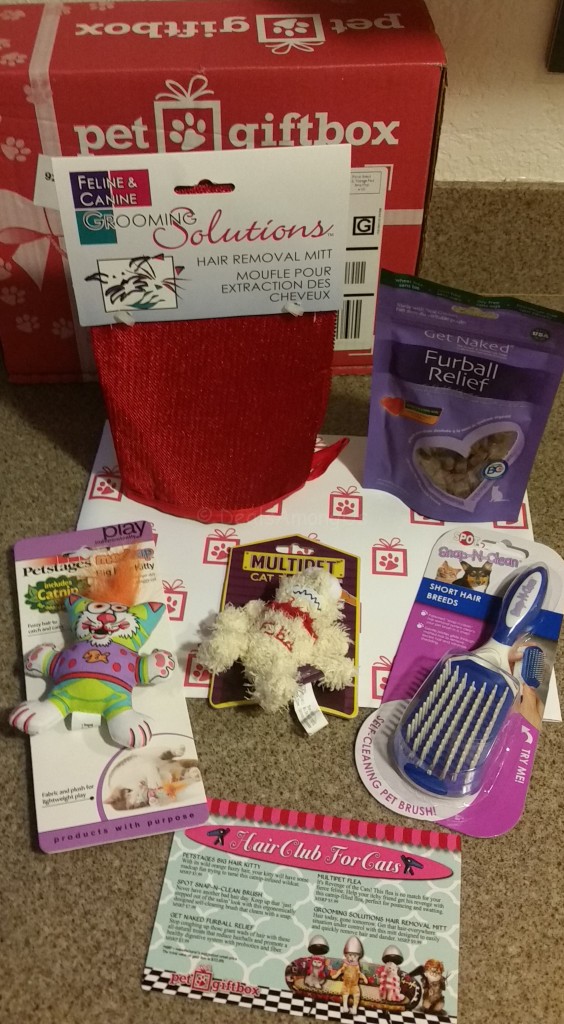 September Pet Gift Box with Postcard