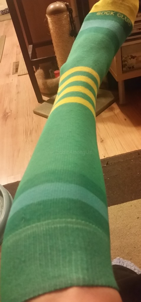 Sock Club September - Long