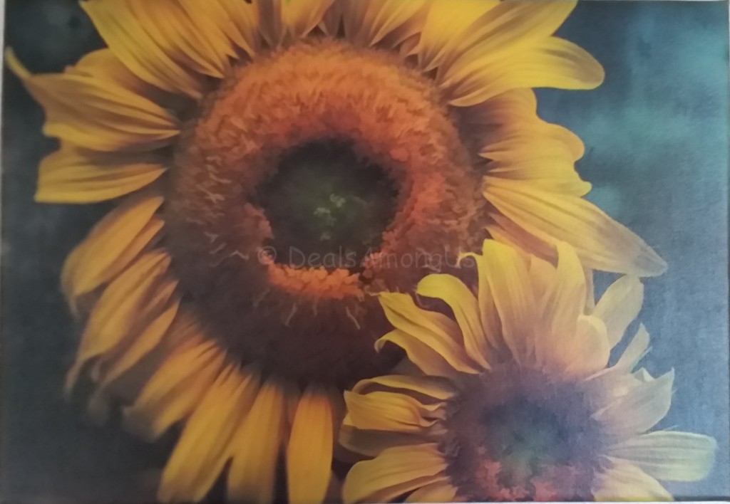 Sunflower Print from Framed Art