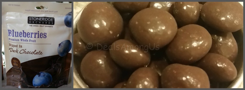 Blueberries in Dark Chocolate complete