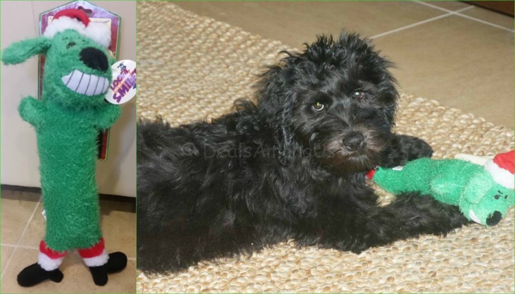 Green Squeek Toy and Meadown