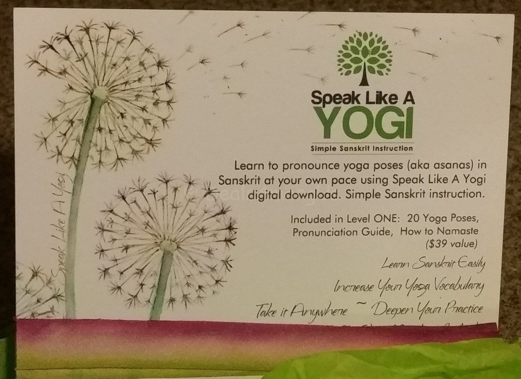 Speak Like a Yogi Code