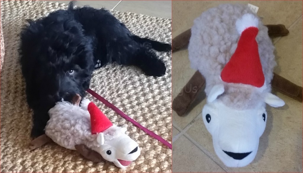 White Fluff Ball with Meadow