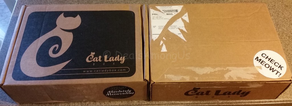 Cat Lady Box Before and After