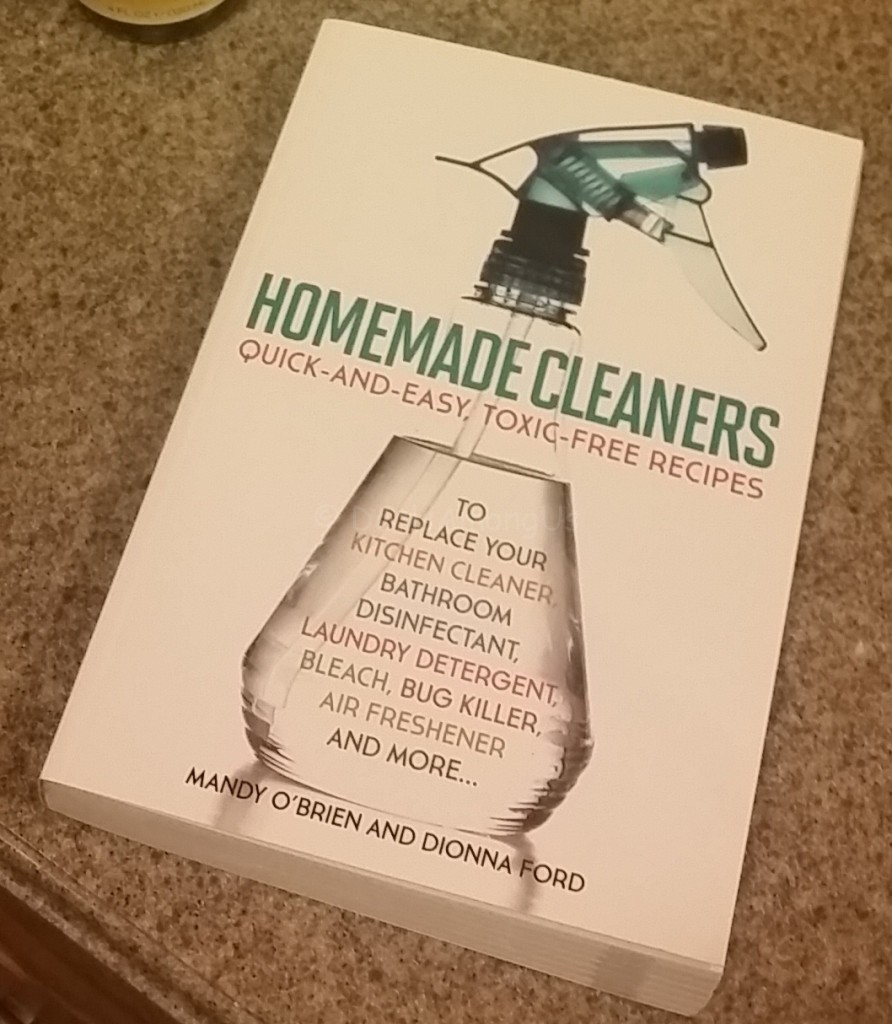 Homemade Cleaners