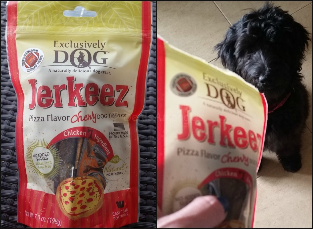Jerkeez with Waiting Dog