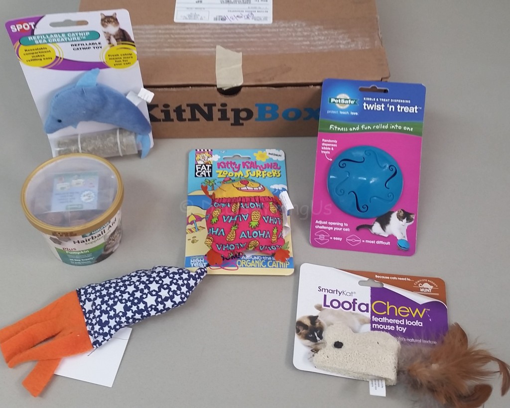 Monthly Box Contents - Kit Nip Box