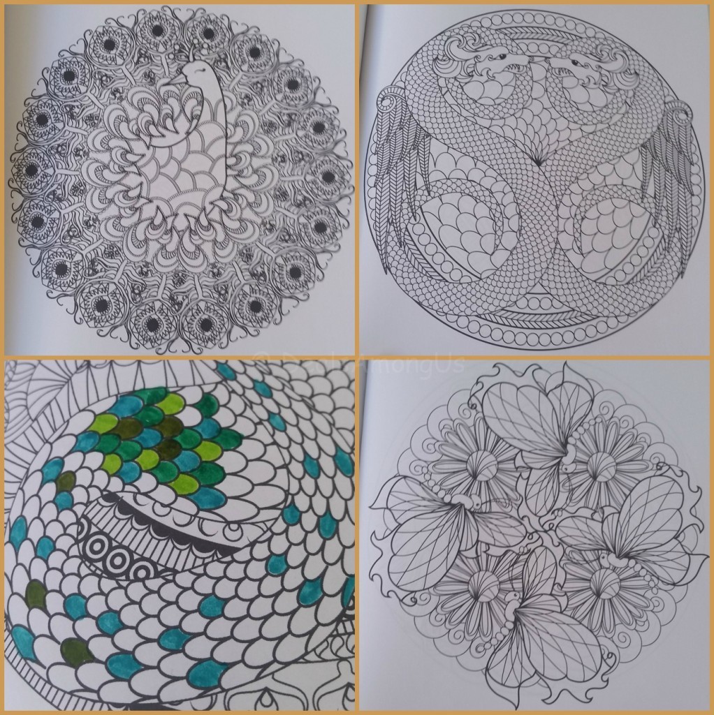 Coloring Animal Mandalas