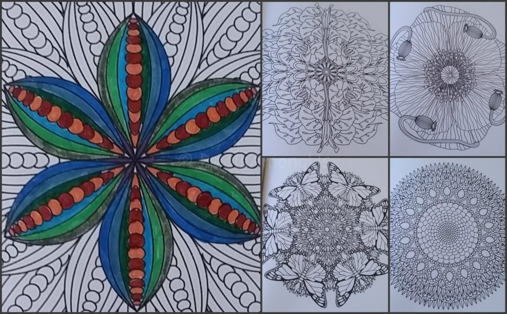 Flower Mandala Collage