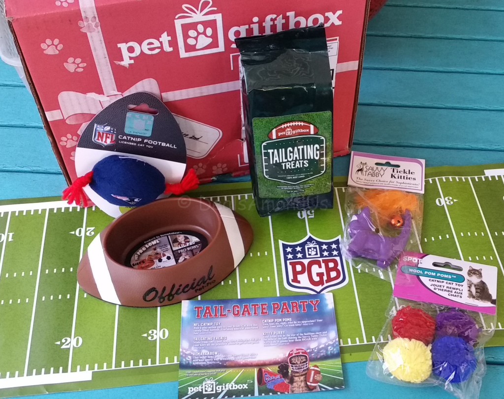 January 2016 Tail-gate party