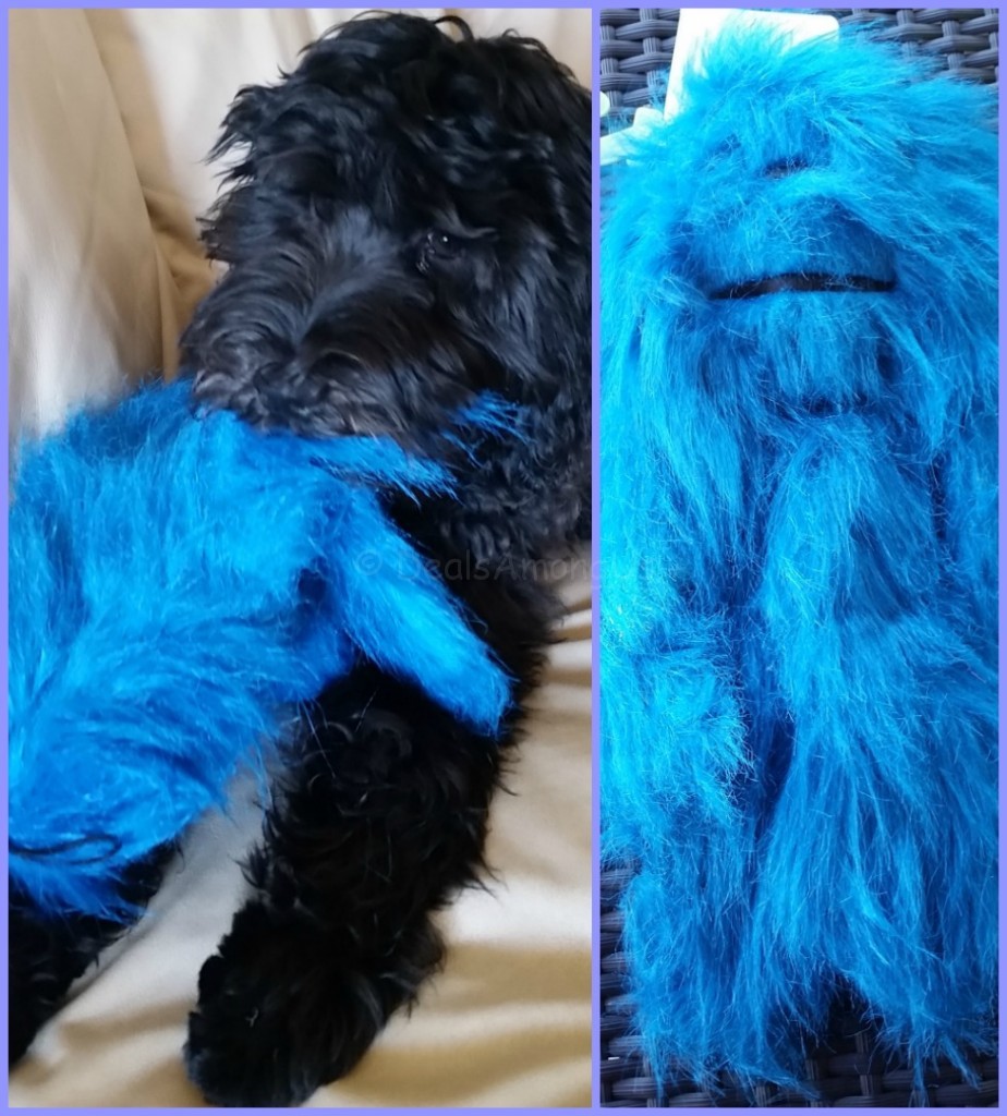 Blue Toy with Meadow