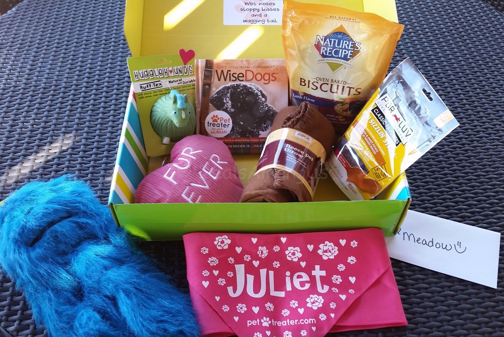 February 2016 Pet Treater Box