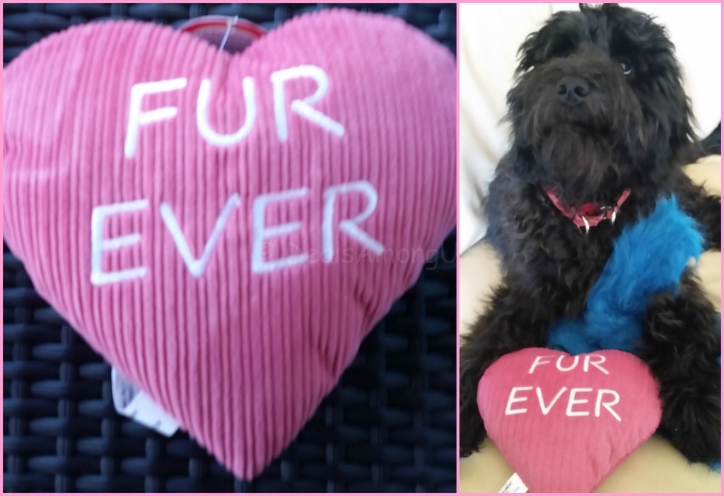 Fur Ever with Meadow