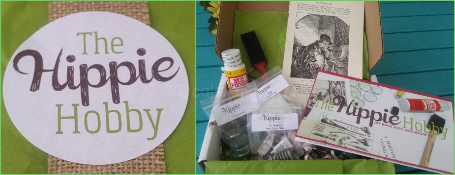 Hippie Hobby DIY Gem Magnet Kit