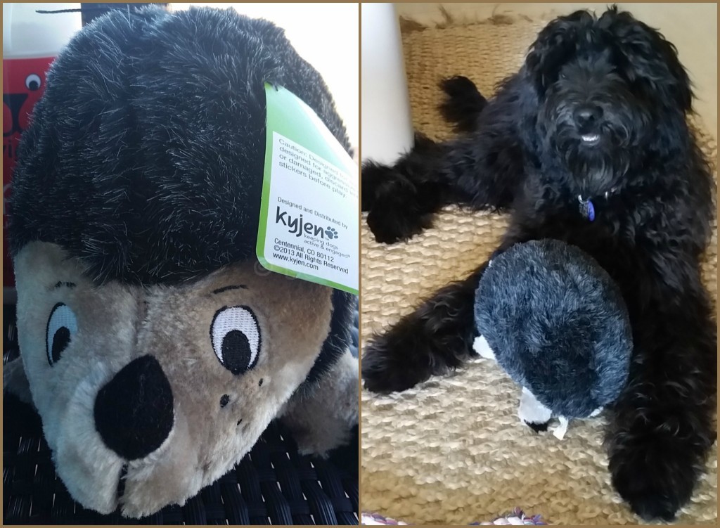 Meadow and the Hedgehog BFF