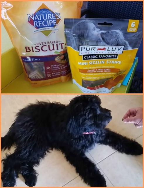 Natures Recipe and Pur Luv