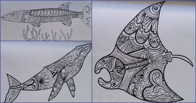 Ocean Animals to be colored