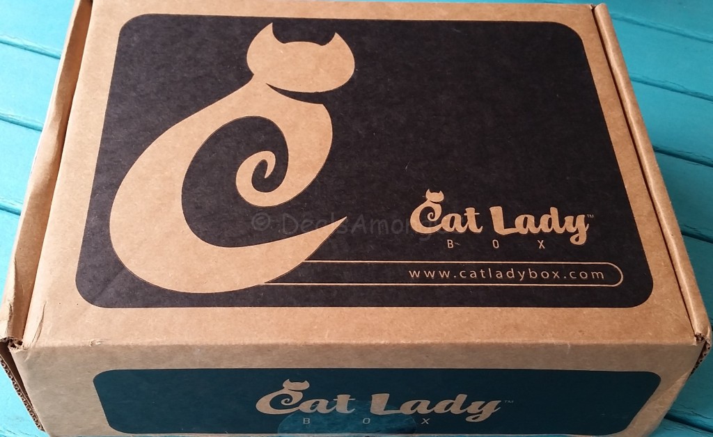 Cat Lady Box Outside