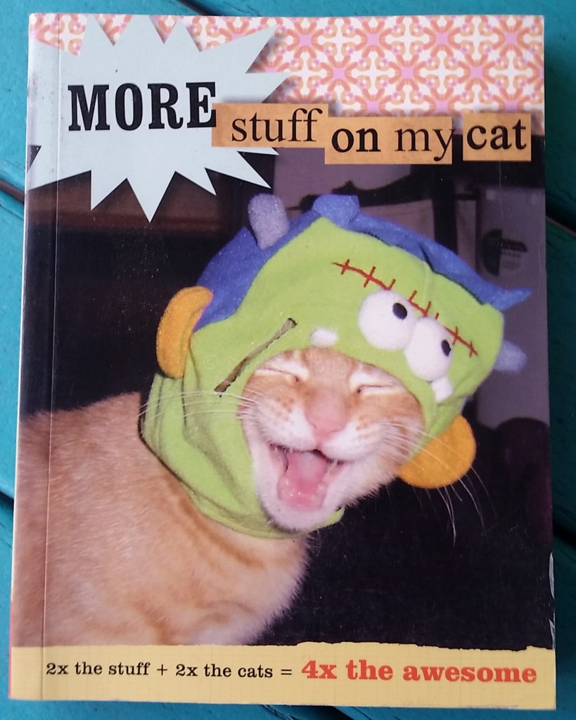 More Stuff on my Cat