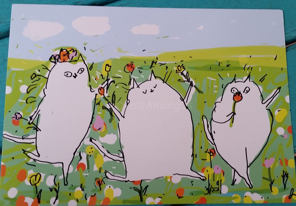 Postcard by Jamie Shelman