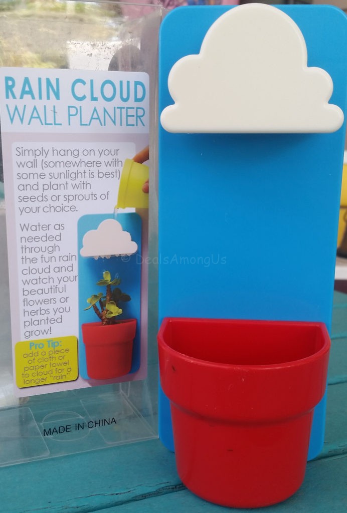 Rain Cloud Wall Planter