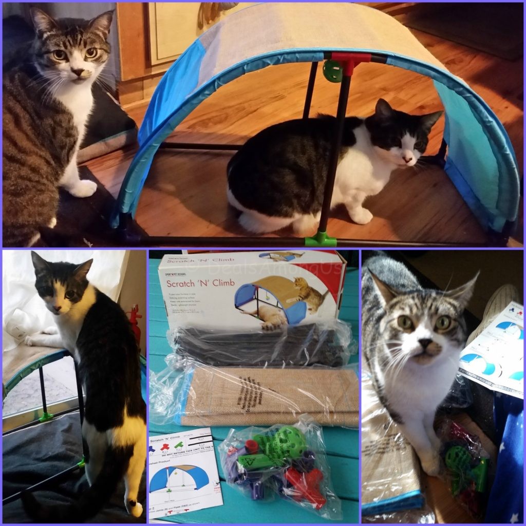 Scratch n Climb in Action