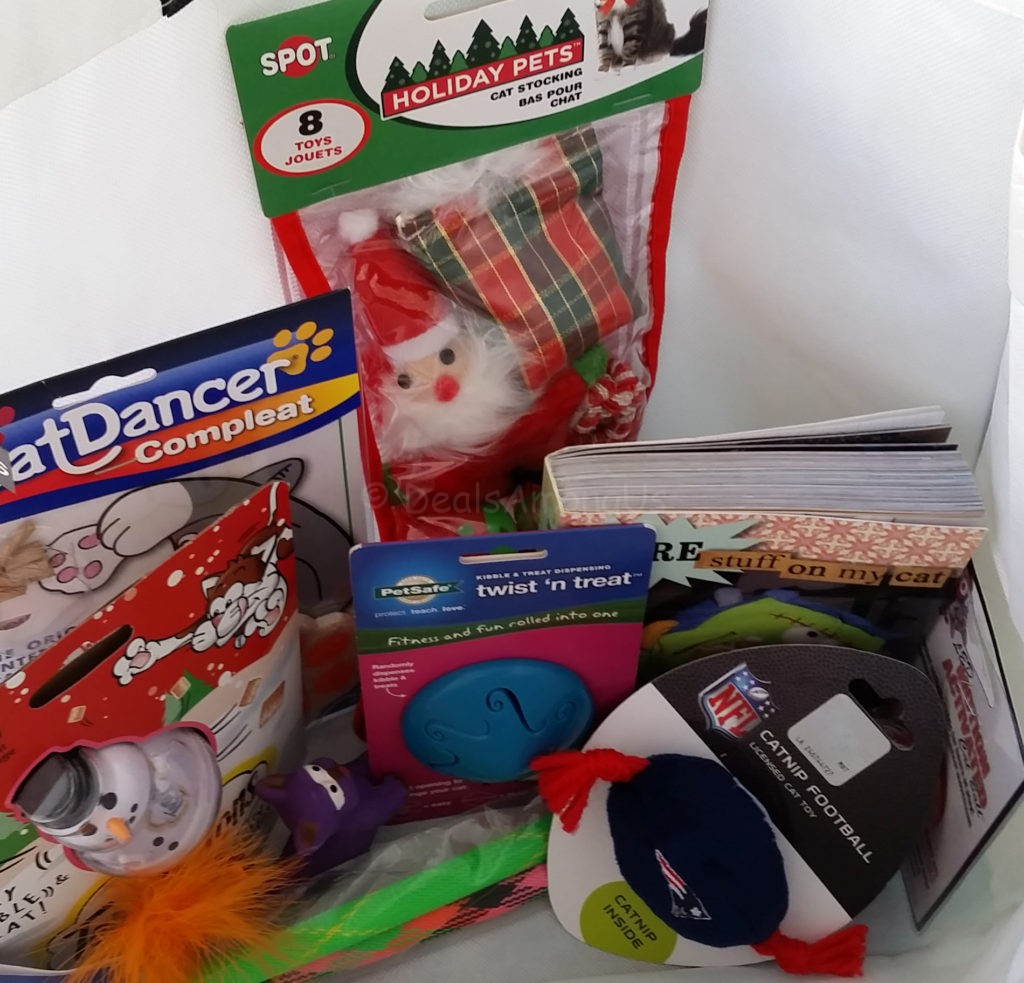 Spring Kitten Giveaway