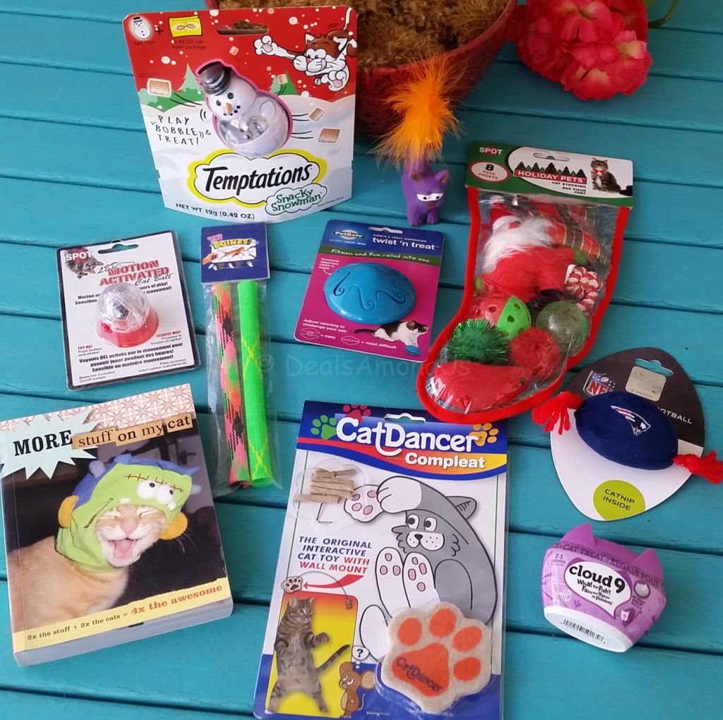 Spring Kitten Giveaway DAU