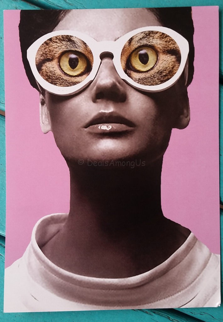 Cat Lady Artist May 2016