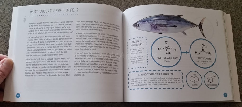 What Causes Fish to Smell