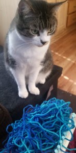 Yarn Assistant Maggee