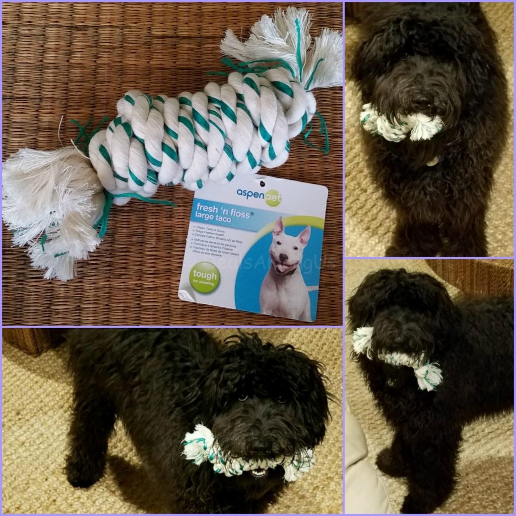 Fresh n Floss with Meadow